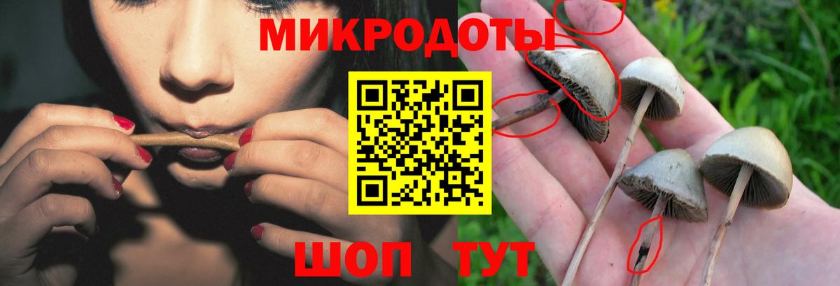 что такое наркотик  Галлюциногенные грибы GOLDEN TEACHER  Вход с VPN  Белгород 
